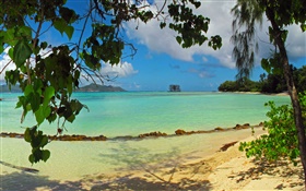 Beach, trees, sea, Seychelles Island HD wallpaper