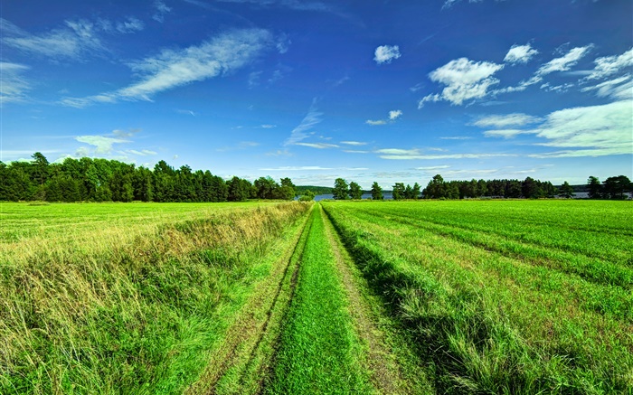 Beautiful nature landscape, fields, trees, road, sky Wallpapers Pictures Photos Images