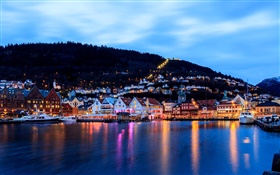 Bergen, Norway, city, night, houses, sea, boat, lights HD wallpaper