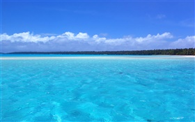Blue coast scenery, palm trees, beach HD wallpaper