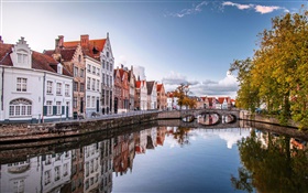 Brussels, Belgium, houses, river, bridge, trees, autumn HD wallpaper