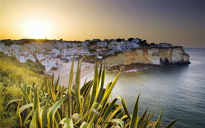 Carvoeiro, houses, coast, dusk, Lagoa, Faro, Portugal Wallpapers Pictures Photos Images