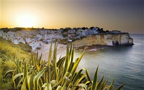 Carvoeiro, houses, coast, dusk, Lagoa, Faro, Portugal HD wallpaper
