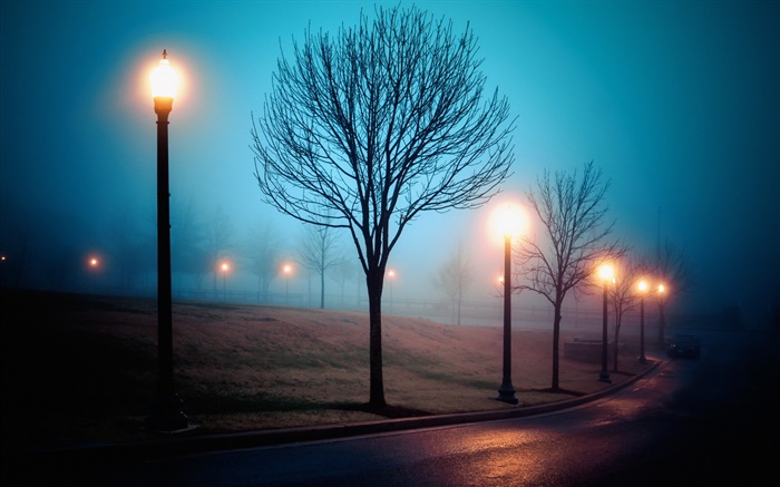 City, night, fog, street, park, lights Wallpapers Pictures Photos Images
