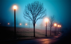 City, night, fog, street, park, lights HD wallpaper