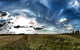 Clouds, green fields, nature scenery, dusk HD wallpaper