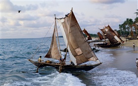 Coast, fishing boats, fishermen HD wallpaper