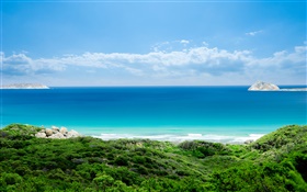 Coast, grass, sea, island, blue sky, clouds HD wallpaper