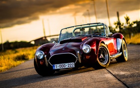 Cobra classic car at sunset