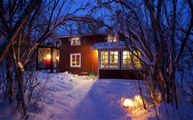 Country cottage, snow-covered trees, Sweden, night, lights HD wallpaper