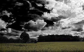 Dark clouds, trees, farmland HD wallpaper