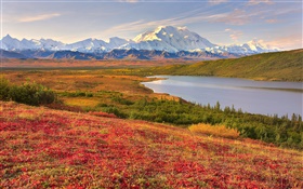 Denali National Park, Alaska, USA, grass, lake, mountains