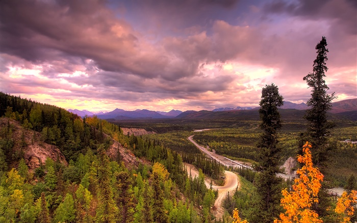 Denali National Park, Alaska, USA, road, trees, clouds Wallpapers Pictures Photos Images