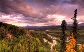 Denali National Park, Alaska, USA, road, trees, clouds HD wallpaper