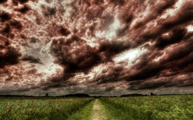 Dusk, clouds, path, fields HD wallpaper