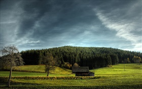 Farmland, house, trees, clouds HD wallpaper