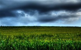 Farmland scenery, clouds, dusk
