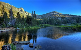 Forest, lake, mountains, morning HD wallpaper