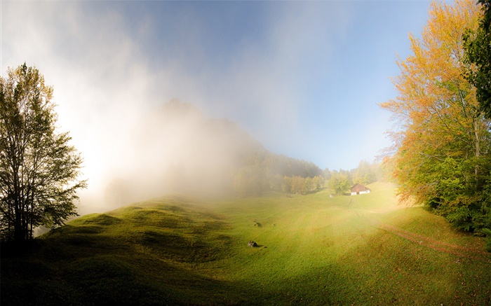 Grass, fog, morning, house, Glarus, Switzerland Wallpapers Pictures Photos Images
