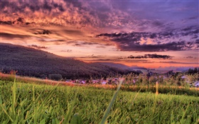 Grass, mountains, village, red sky, dusk, clouds HD wallpaper