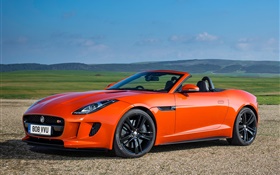 Jaguar F-Type V8 S orange supercar HD wallpaper