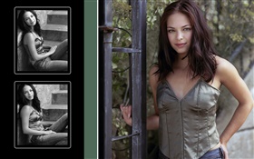 Kristin Kreuk 11 HD wallpaper