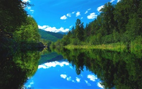Lake, forest, trees, blue sky, water reflection