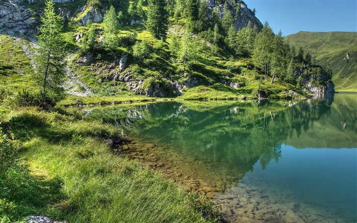 Lake, mountain, trees, grass, water reflection Wallpapers Pictures Photos Images