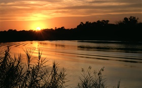 Lake, sunset, grass, dusk HD wallpaper