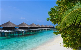 Leisure resort, huts, tropical coast