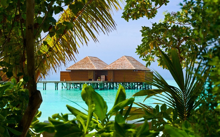 Leisure seaside huts Wallpapers Pictures Photos Images