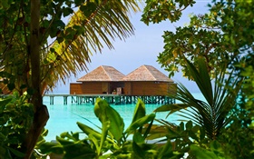 Leisure seaside huts HD wallpaper