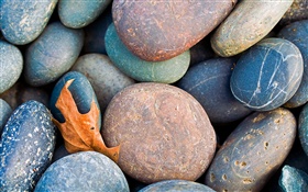 Many cobblestone HD wallpaper