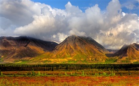 Mountains, trees, clouds, Denali National Park, Alaska, USA HD wallpaper