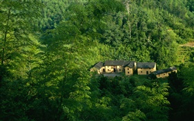 Mountains, trees, green, old house, Chinese landscape HD wallpaper