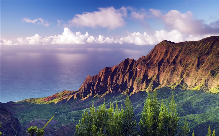 Na Pali Coast State Park sunset at Hawaii Wallpapers Pictures Photos Images