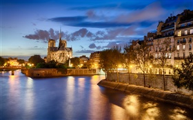 Notre Dame, France, river, trees, house, night, lights HD wallpaper