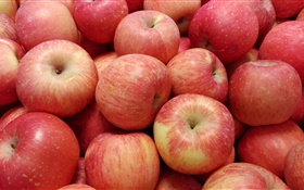 Nutrient-rich fruits, red apples HD wallpaper