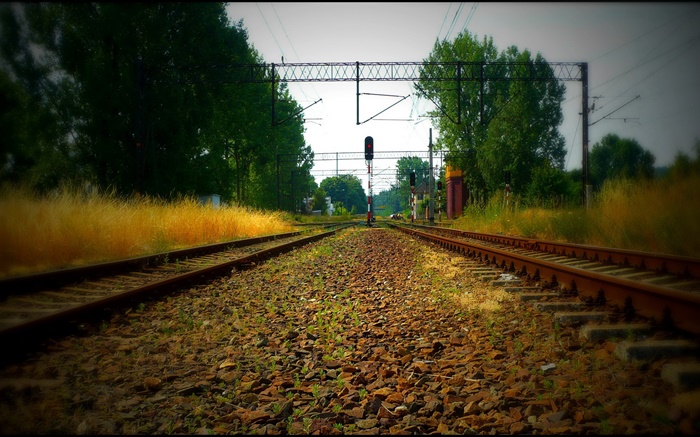 Railroad, trees, power lines, red light Wallpapers Pictures Photos Images