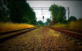 Railroad, trees, power lines, red light HD wallpaper