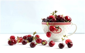 Red cherries, cup HD wallpaper