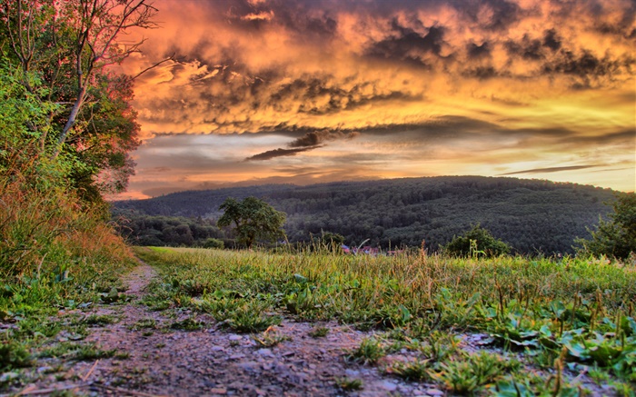 Red clouds, grass, mountains Wallpapers Pictures Photos Images
