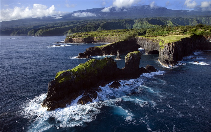 Rocky coast, Pacific Ocean, Maui, Hawaii Wallpapers Pictures Photos Images
