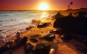 Rocky shoreline, sunset, Hawaii, USA HD wallpaper