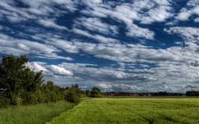 Trees, field, house, clouds HD wallpaper