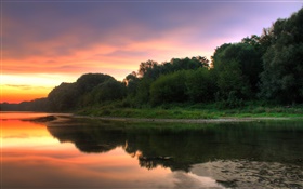 Trees, river, dusk