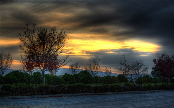 Trees, road, dusk, clouds Wallpapers Pictures Photos Images