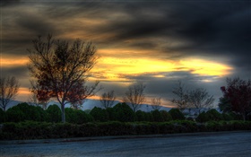Trees, road, dusk, clouds HD wallpaper
