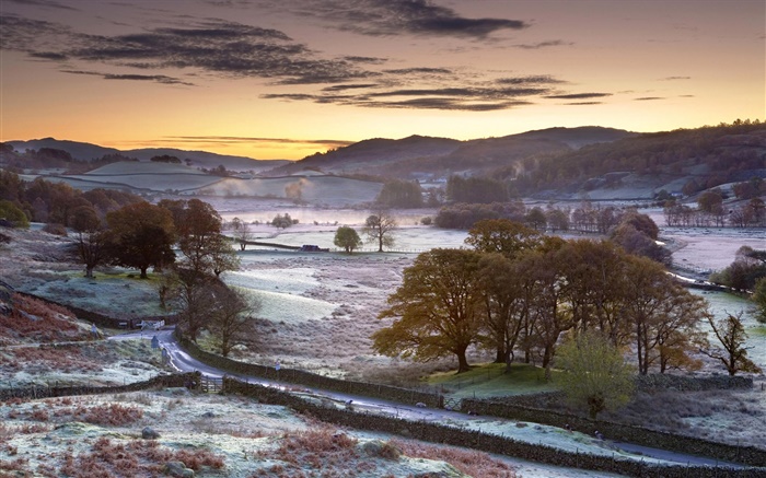 Village, trees, road, morning, winter, snow Wallpapers Pictures Photos Images