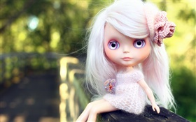 White hair, toy girl, doll HD wallpaper